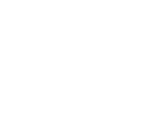 PsyNamic Network Logo